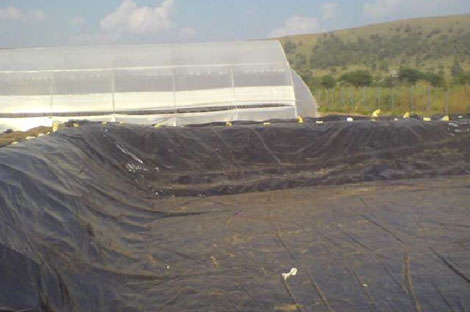 Looking For HDPE Pond Liner Suppliers in Ahmedabad